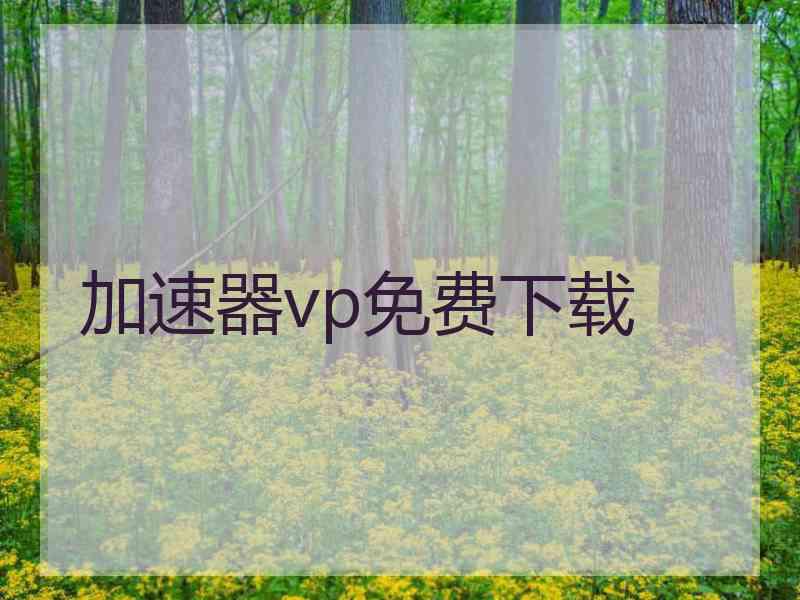 加速器vp免费下载