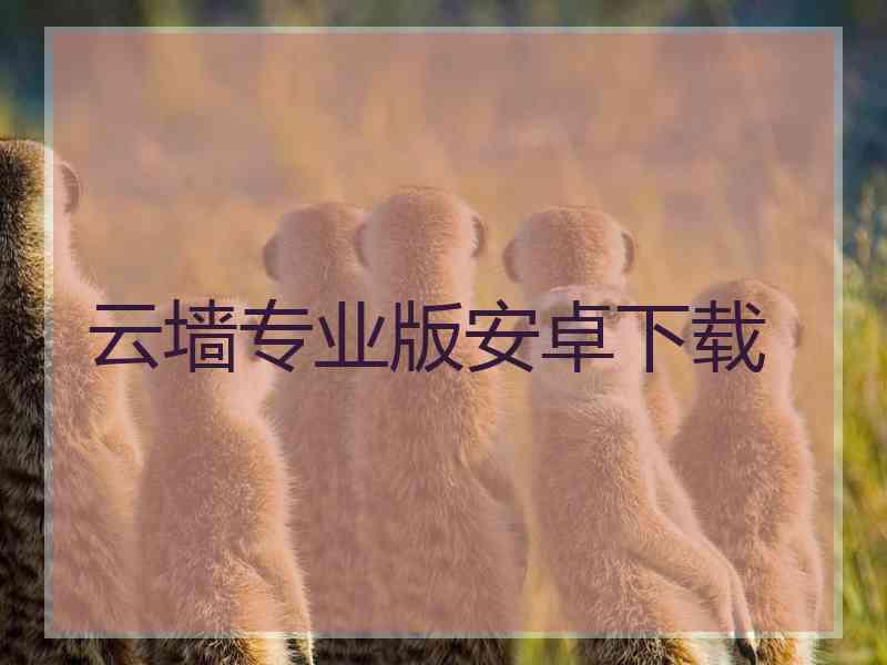 云墙专业版安卓下载