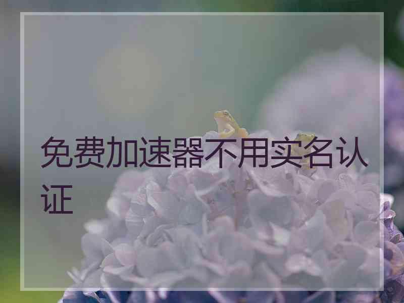 免费加速器不用实名认证