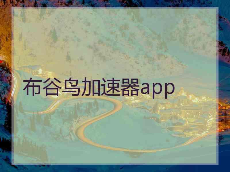 布谷鸟加速器app