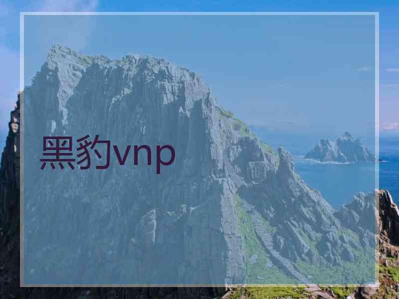 黑豹vnp
