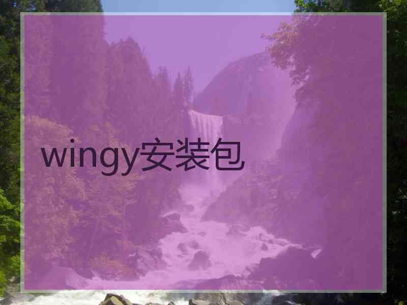 wingy安装包