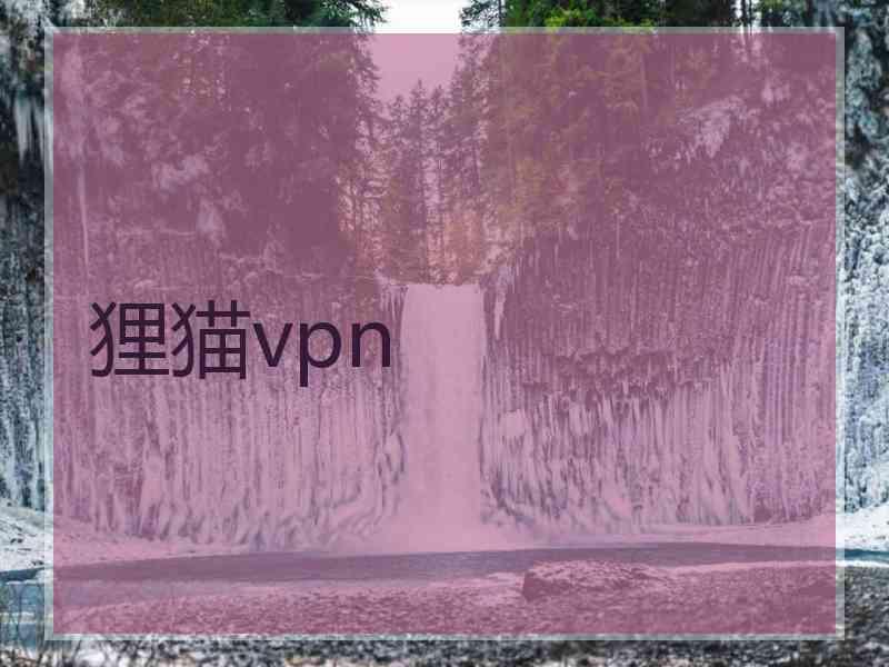 狸猫vpn