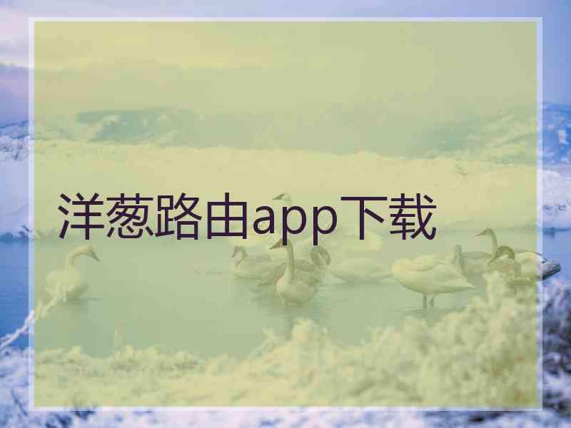 洋葱路由app下载
