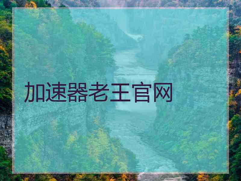 加速器老王官网