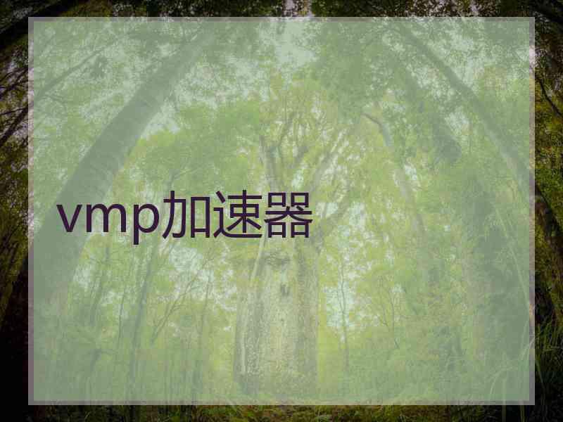 vmp加速器