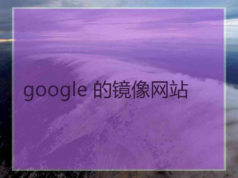 google 的镜像网站