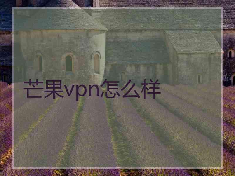 芒果vpn怎么样