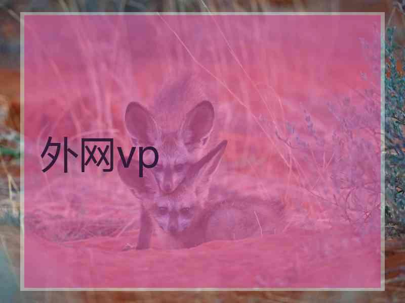 外网vp