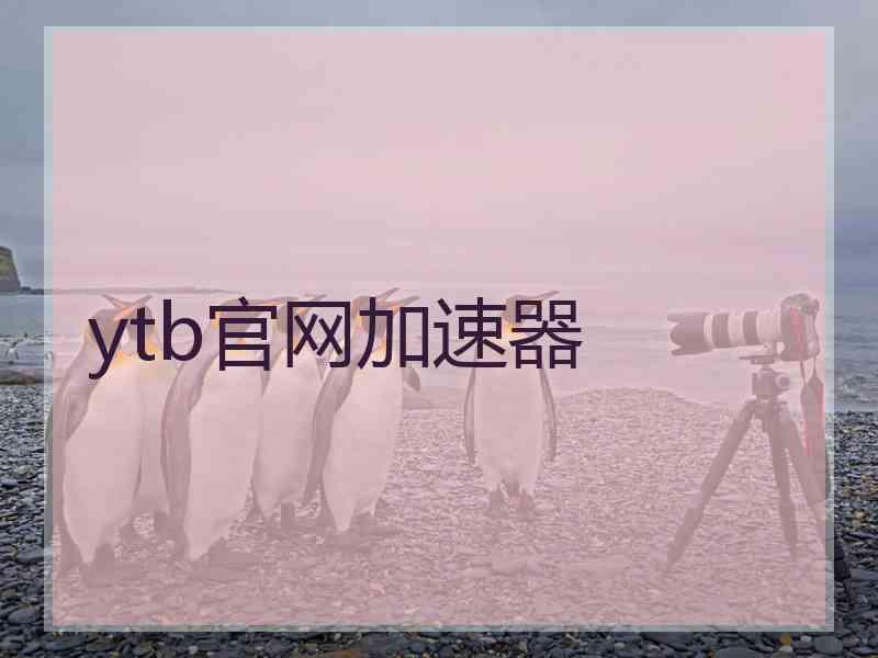 ytb官网加速器