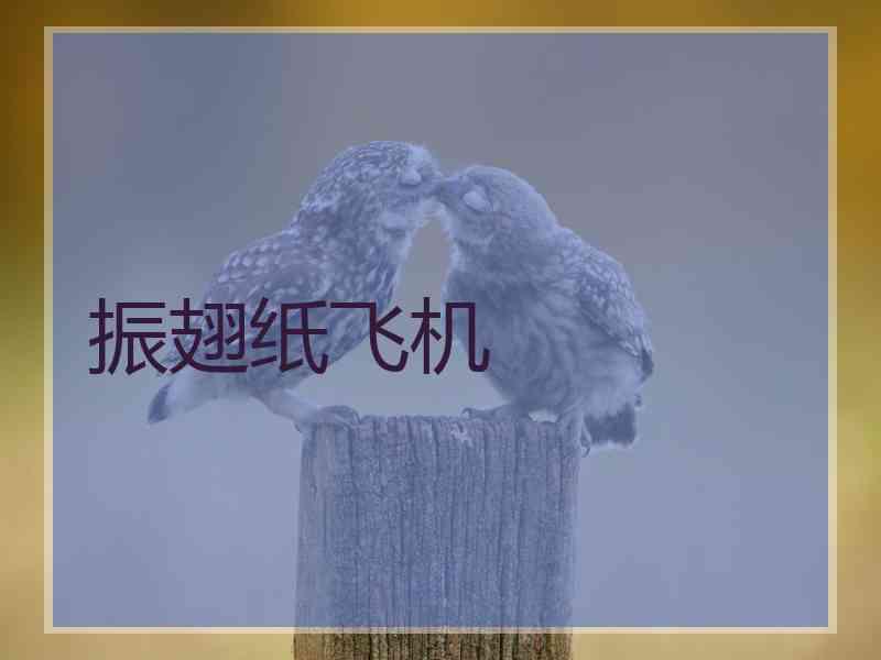 振翅纸飞机