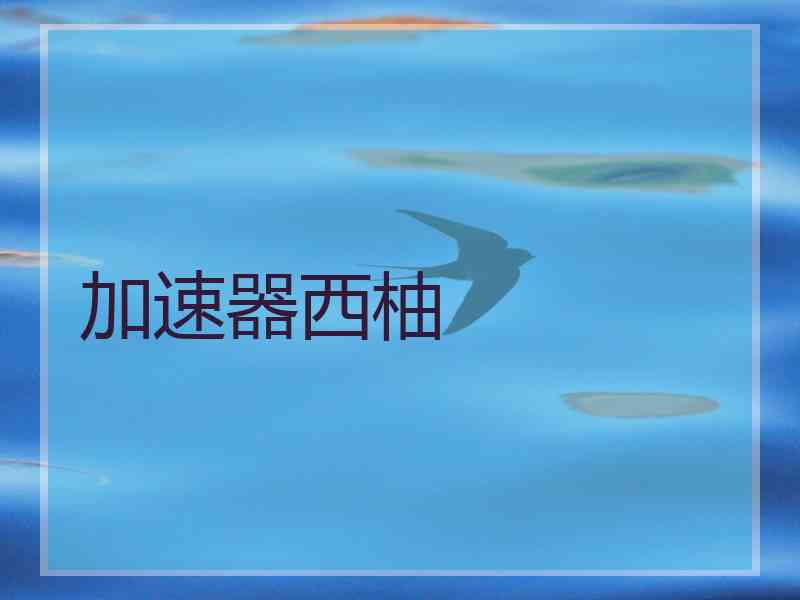 加速器西柚