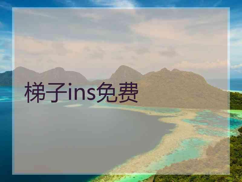 梯子ins免费