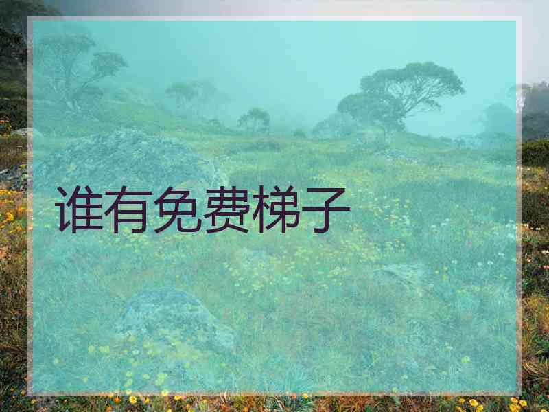谁有免费梯子