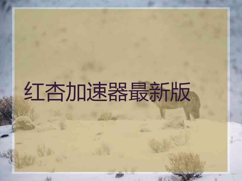 红杏加速器最新版