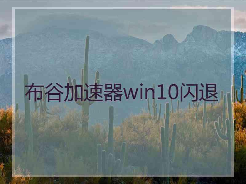 布谷加速器win10闪退
