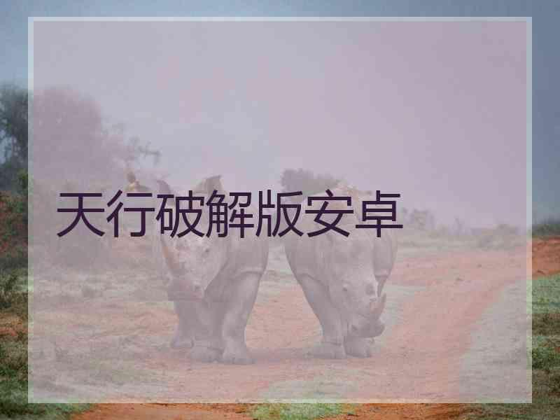 天行破解版安卓