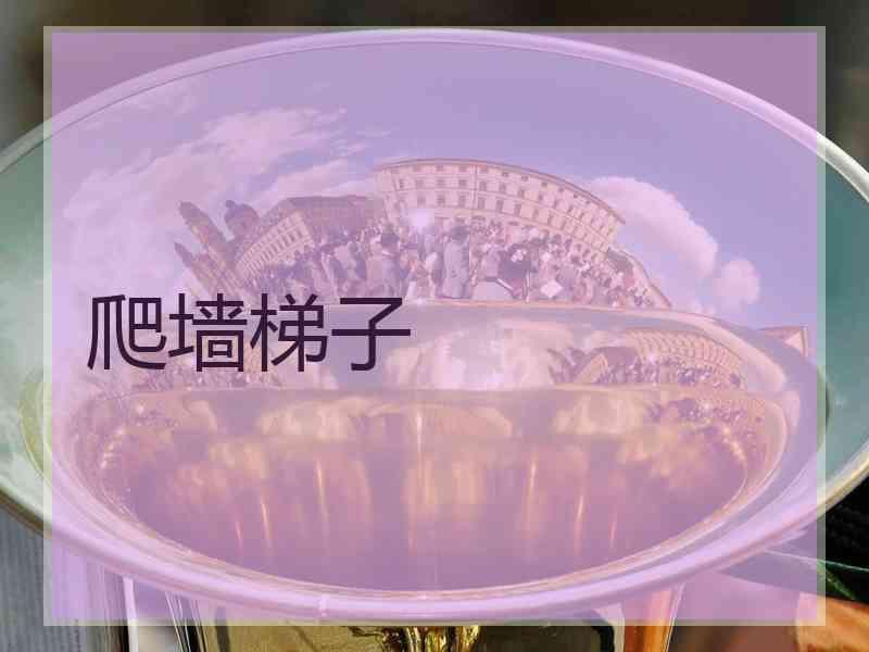 爬墙梯子