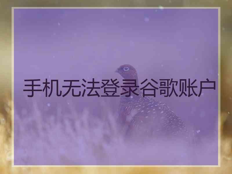 手机无法登录谷歌账户