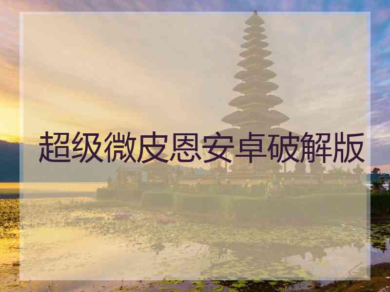超级微皮恩安卓破解版