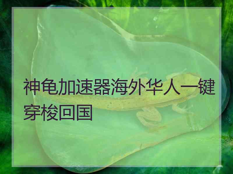 神龟加速器海外华人一键穿梭回国