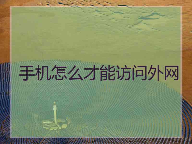 手机怎么才能访问外网