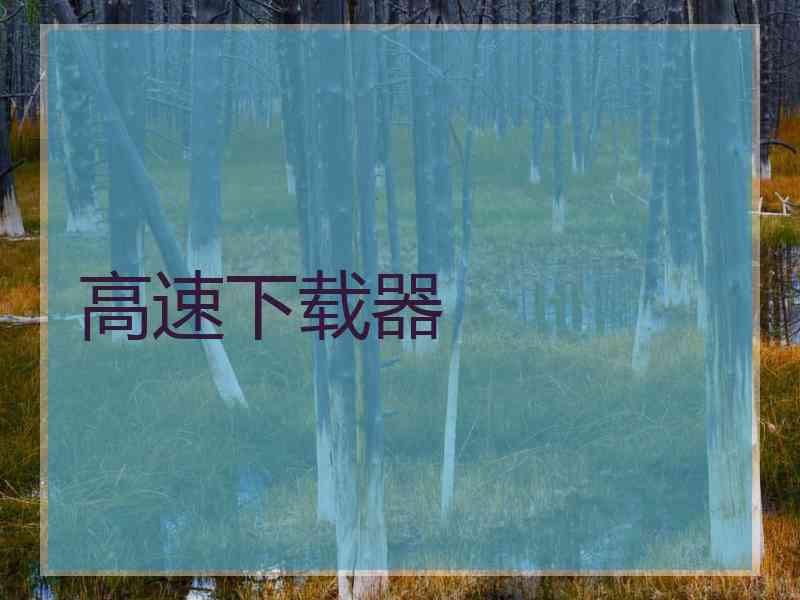 高速下载器