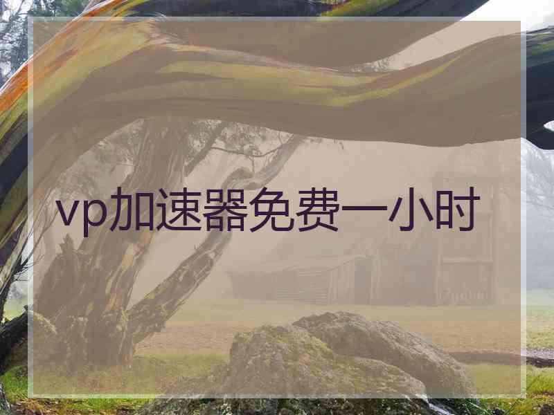 vp加速器免费一小时