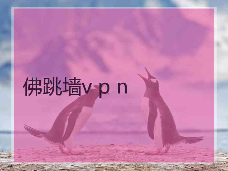 佛跳墙v p n