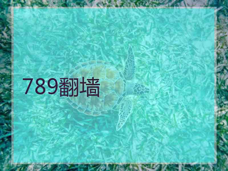 789翻墙