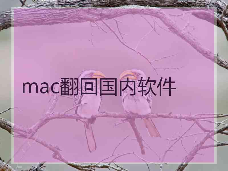 mac翻回国内软件