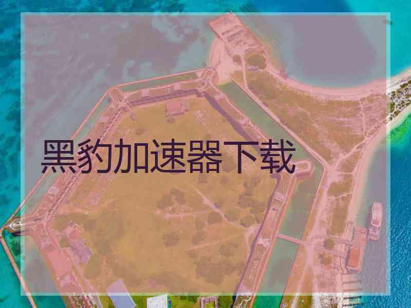 黑豹加速器下载