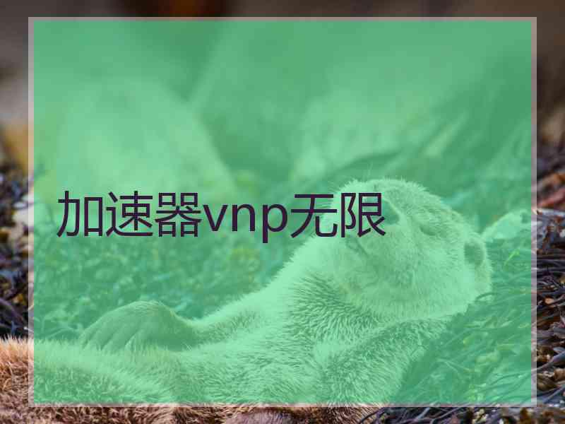 加速器vnp无限