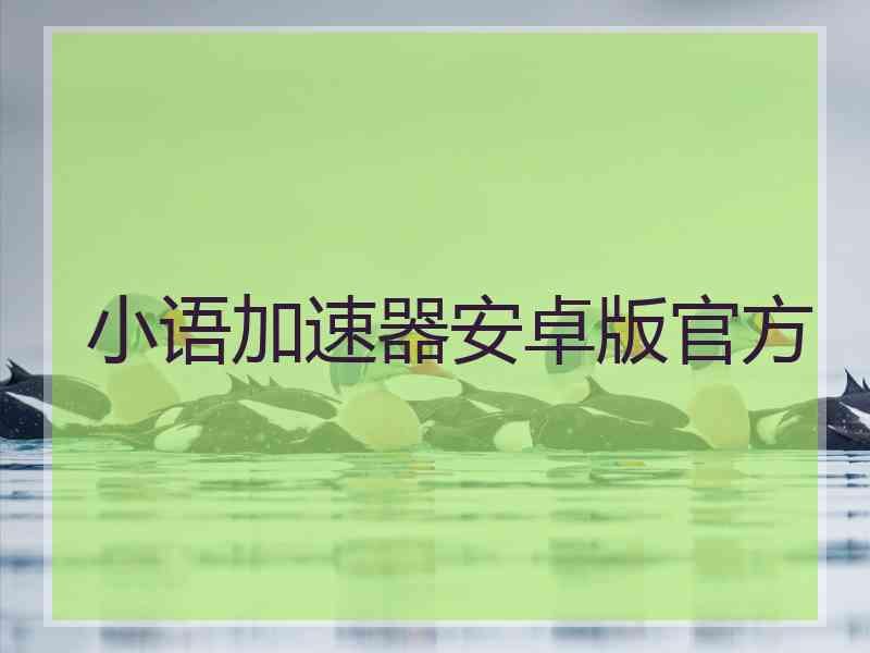 小语加速器安卓版官方
