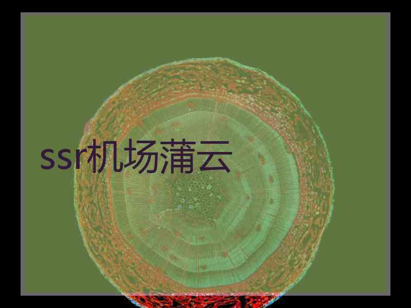 ssr机场蒲云