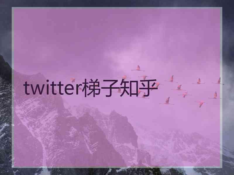 twitter梯子知乎