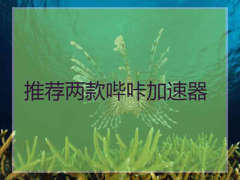 推荐两款哔咔加速器