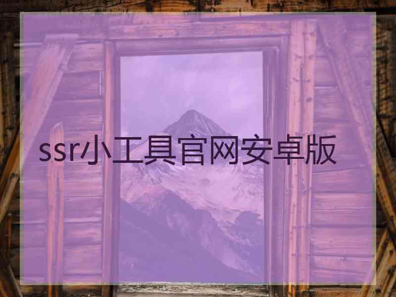 ssr小工具官网安卓版