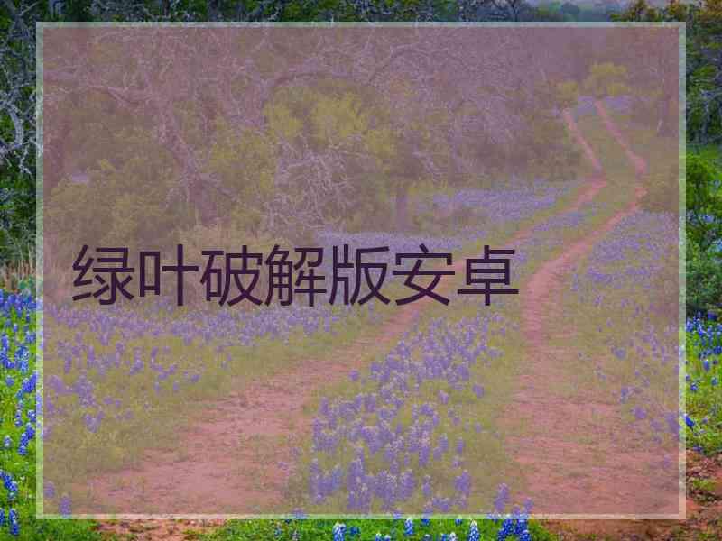 绿叶破解版安卓