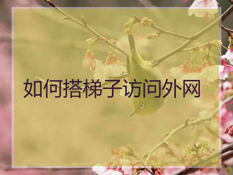 如何搭梯子访问外网