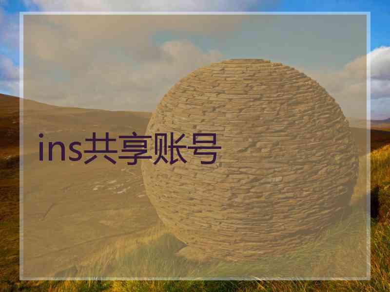 ins共享账号