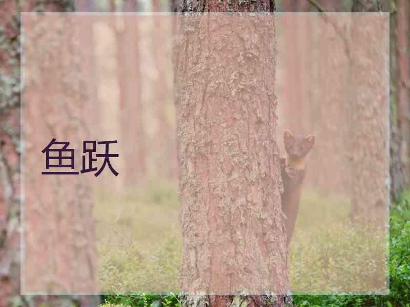 鱼跃