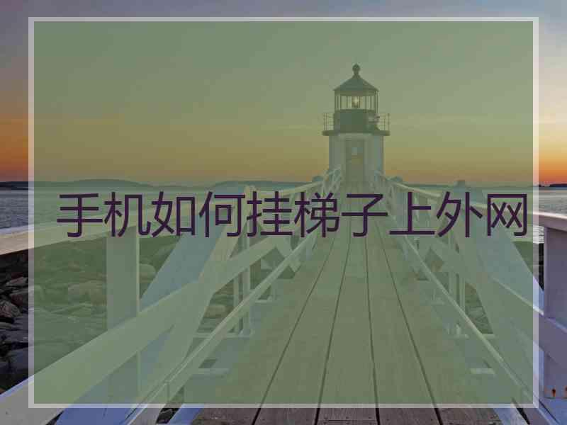 手机如何挂梯子上外网