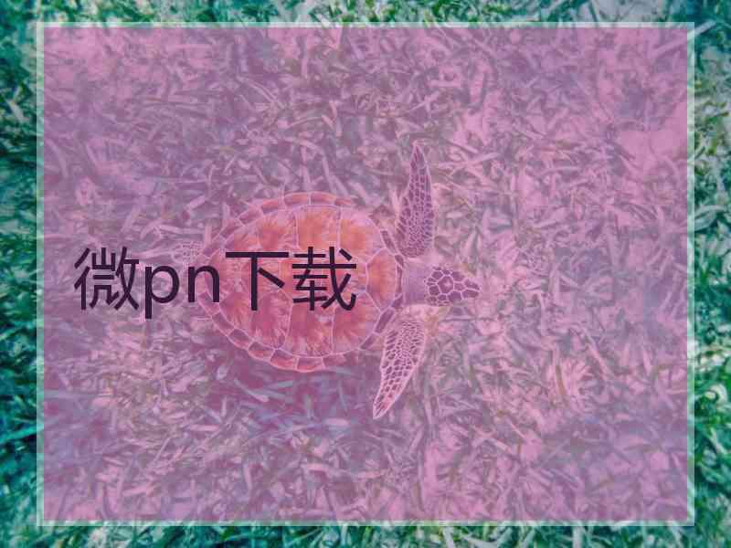微pn下载