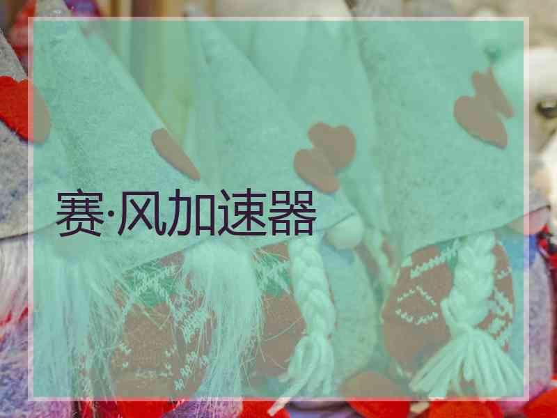 赛·风加速器