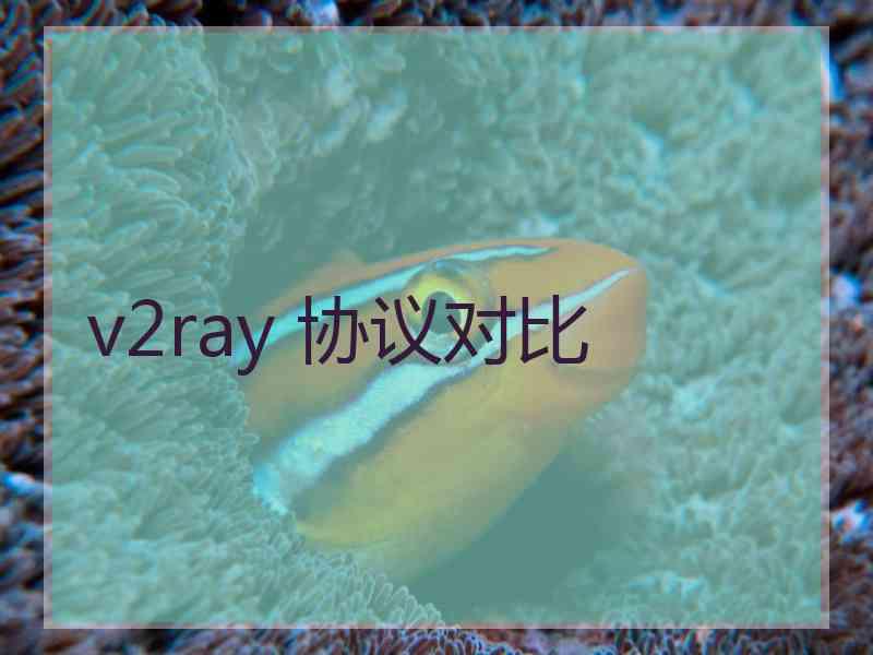 v2ray 协议对比