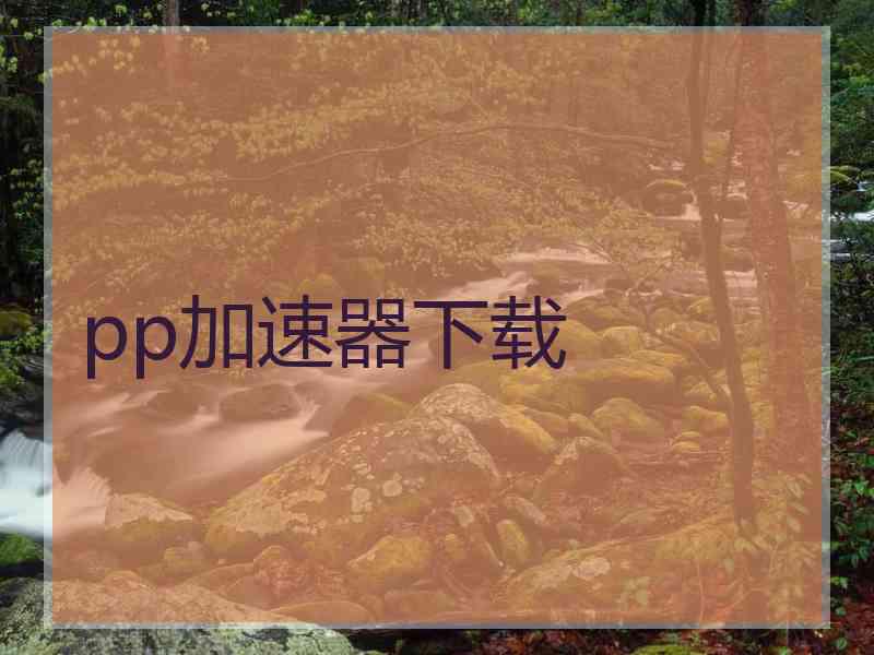 pp加速器下载