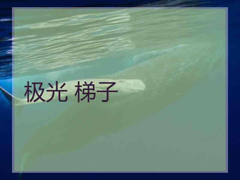 极光 梯子