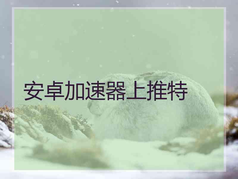 安卓加速器上推特