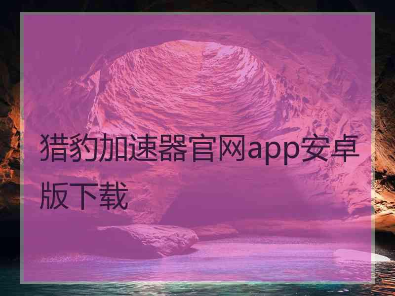 猎豹加速器官网app安卓版下载